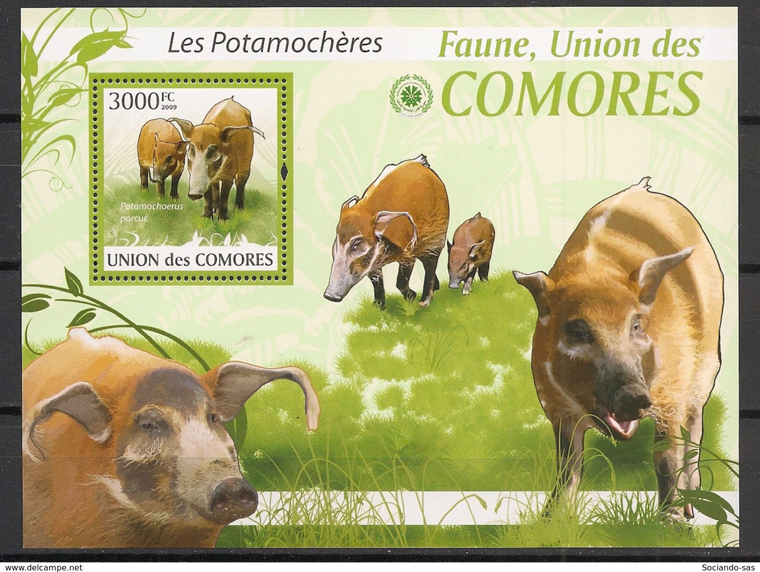 Comores - 2009 - Bloc BF N°Yv. 207 - Potamochères - Neuf Luxe ** / MNH / Postfrisch - Cote YT 21€ - Comoros