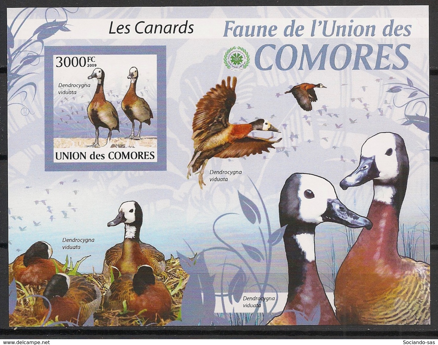 Comores - 2009 - Bloc BF N°Yv. 208 - Canards - Non Dentelé / Imperf. - Neuf Luxe ** / MNH / Postfrisch - Cote YT 21€ - Comoren (1975-...)