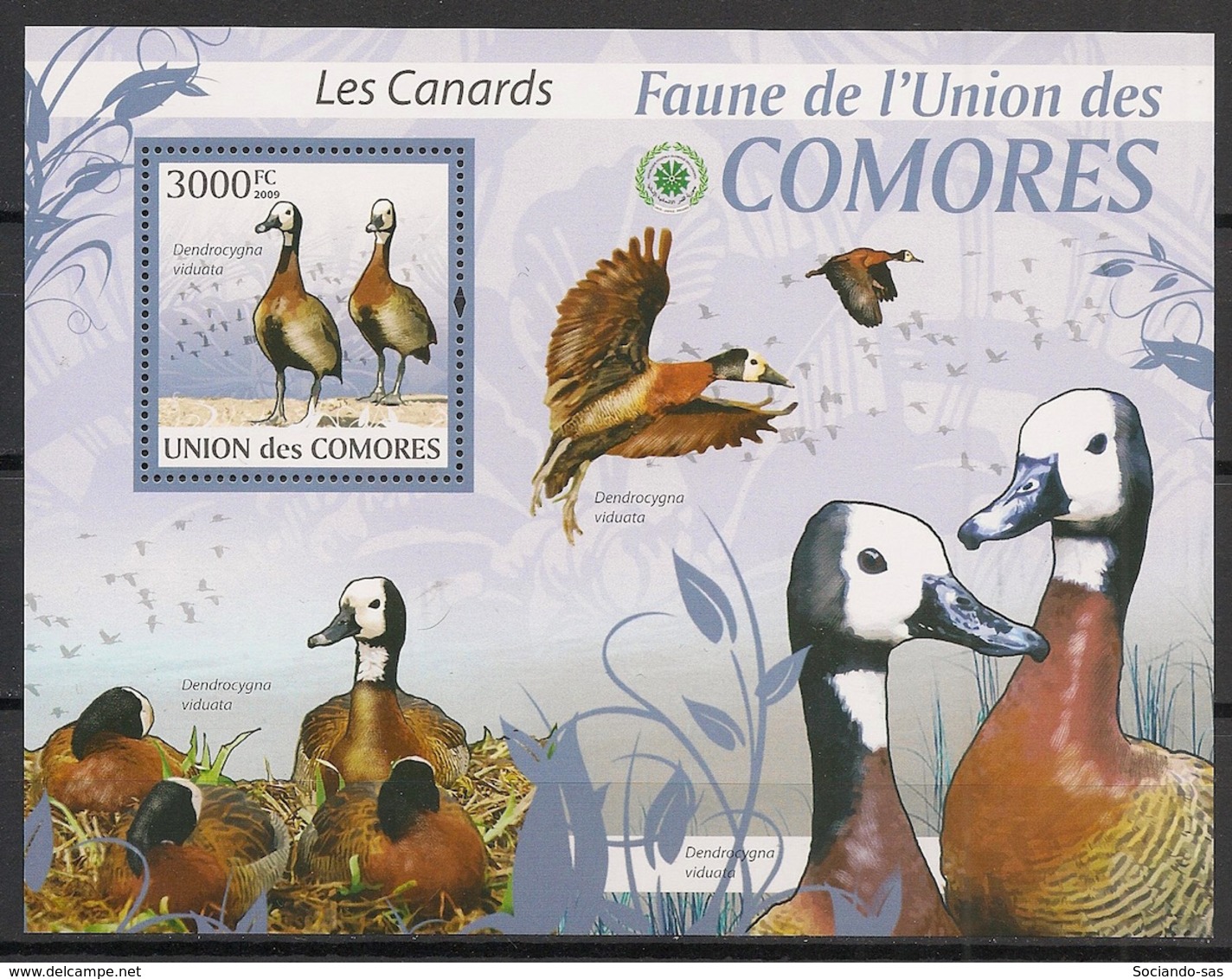 Comores - 2009 - Bloc BF N°Yv. 208 - Canards -Neuf Luxe ** / MNH / Postfrisch - Cote YT 21€ - Comoros