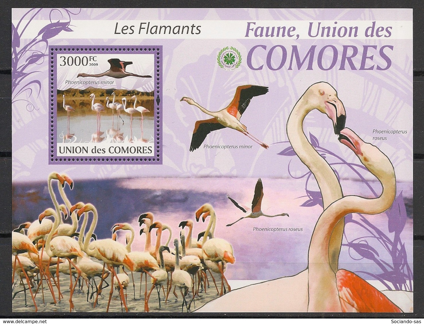 Comores - 2009 - Bloc BF N°Yv. 209 - Flamants - Neuf Luxe ** / MNH / Postfrisch - Cote YT 21€ - Comoros