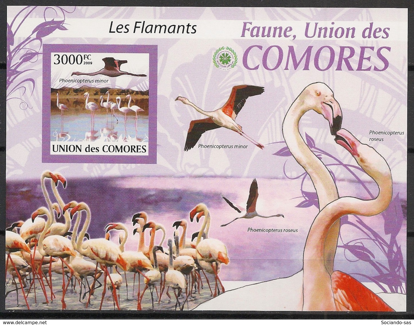 Comores - 2009 - Bloc BF N°Yv. 209 - Flamants - Non Dentelé / Imperf. - Neuf Luxe ** / MNH / Postfrisch - Cote YT 21€ - Comoros
