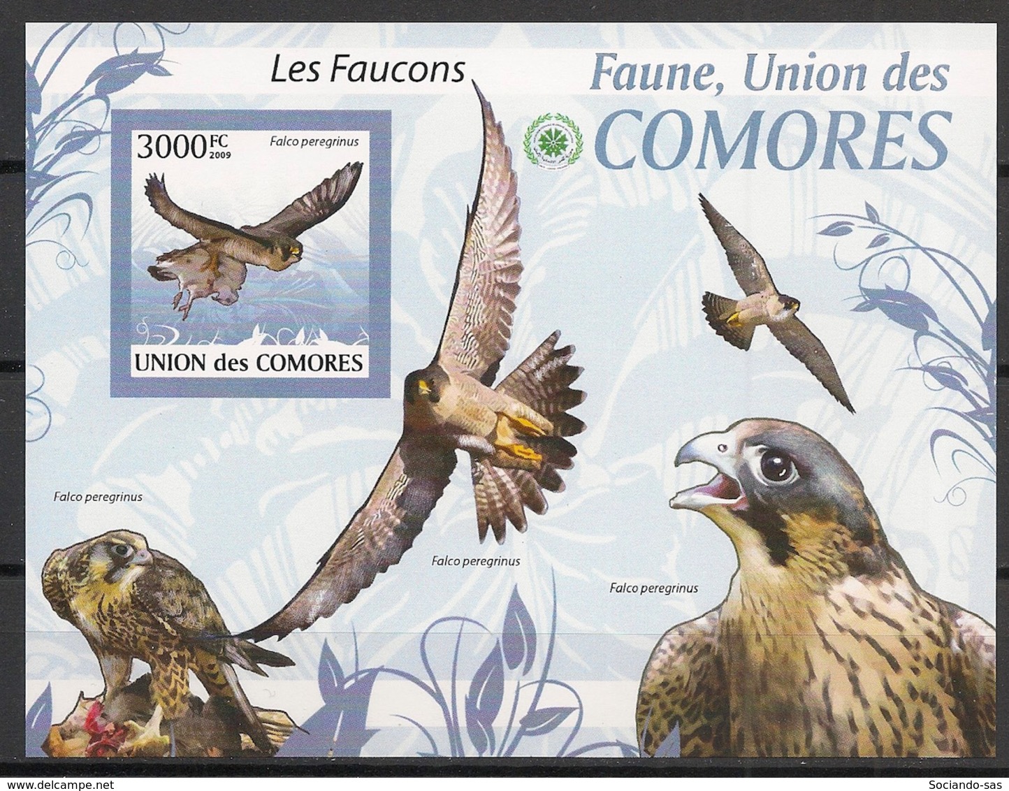 Comores - 2009 - Bloc BF N°Yv. 210 - Faucons - Non Dentelé / Imperf. - Neuf Luxe ** / MNH / Postfrisch - Cote YT 21€ - Comoros