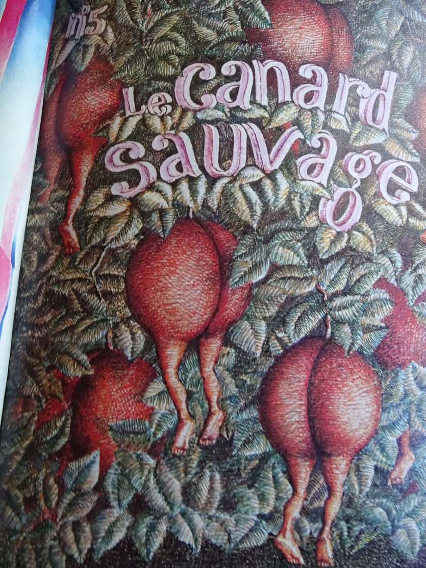 Album Reliure éditeur - Le Canard Sauvage Pâté Journal (4,5,6,7) - Autre Magazines