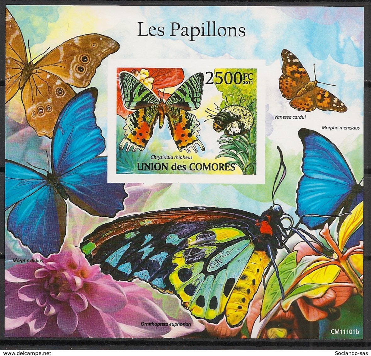 Comores - 2011 - Bloc BF N°Yv. 293 - Papillons - Non Dentelé / Imperf. - Neuf Luxe ** / MNH / Postfrisch - Cote YT 21€ - Papillons