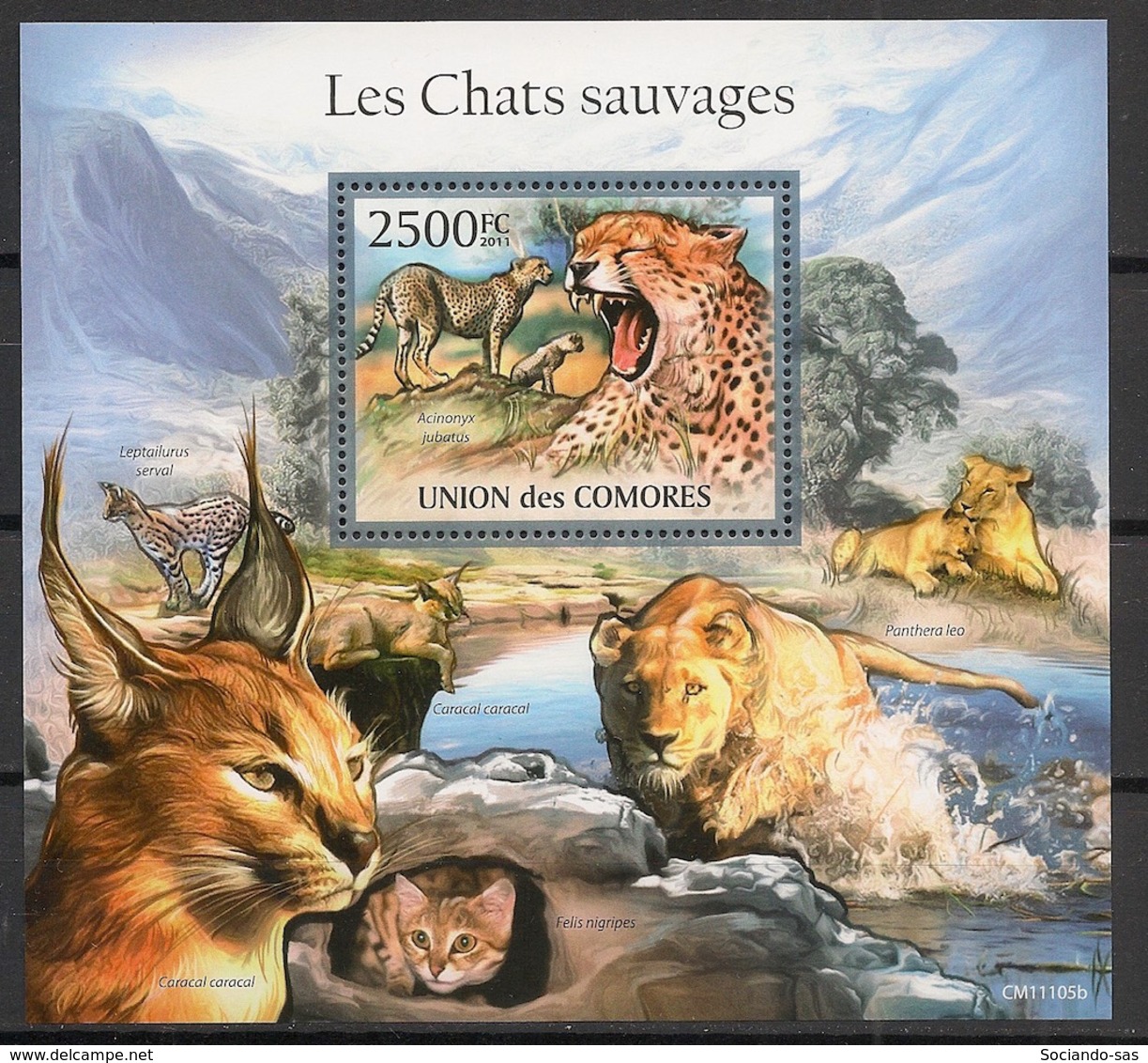 Comores - 2011 - Bloc BF N°Yv. 297 - Félins - Neuf Luxe ** / MNH / Postfrisch - Big Cats (cats Of Prey)