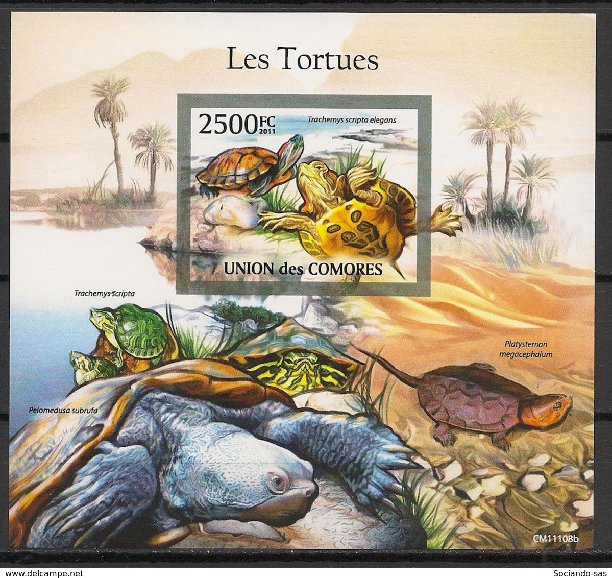 Comores - 2011 - Bloc BF N°Yv. 300 - Tortues - Non Dentelé / Imperf. - Neuf Luxe ** / MNH / Postfrisch - Tortues