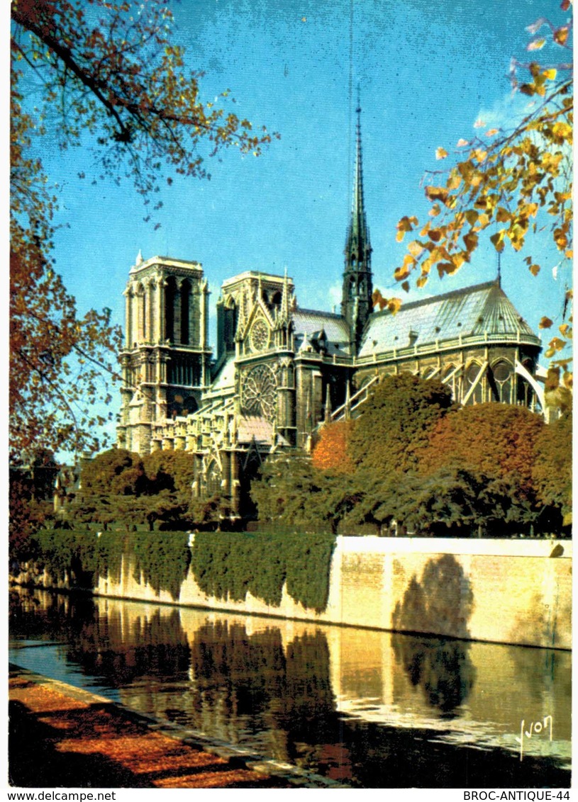 LOT N°157 - LOT DE 500 CARTES DE NOTRE DAME DE PARIS