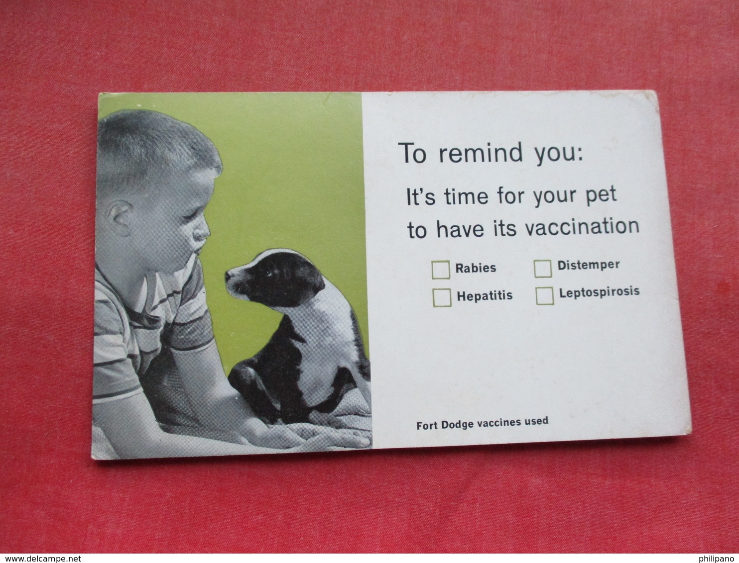 To Remind You :   It's Time For Your To Have Its Vaccination   Ref 3296 - Dogs