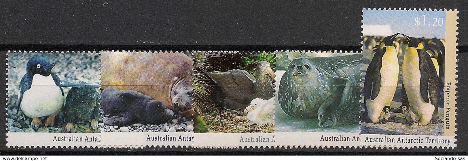 Australian Antarctic Territory / AAT - 1992 - N°Yv. 90 à 94 - Faune - Neuf Luxe ** / MNH / Postfrisch - Pingouins & Manchots