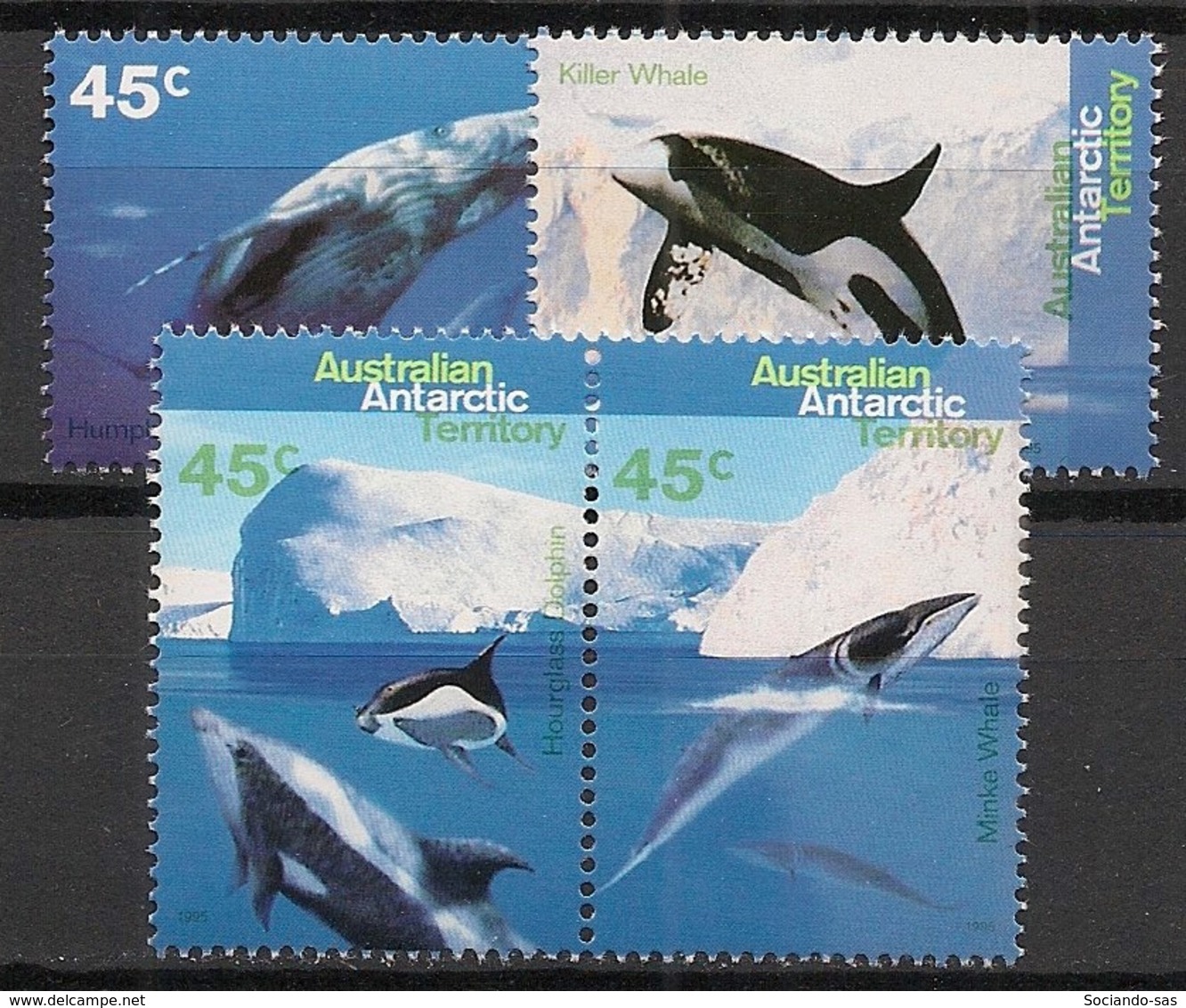 Australian Antarctic Territory / AAT - 1995 - N°Yv. 102 à 105 - Faune Marine - Neuf Luxe ** / MNH / Postfrisch - Baleines