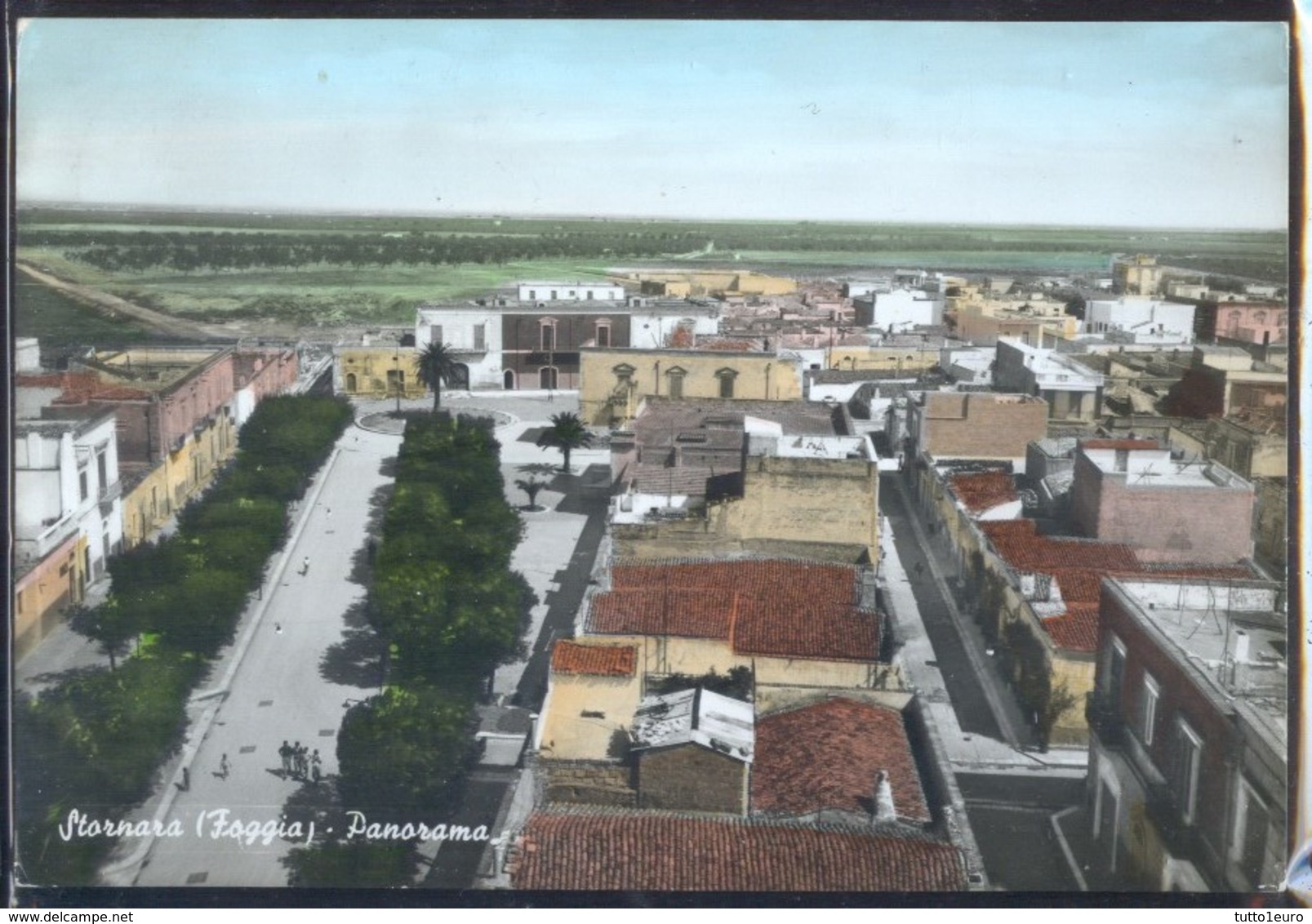 STORNARA - FOGGIA - 1967 - PANORAMA - ACQUERELLATA - Foggia