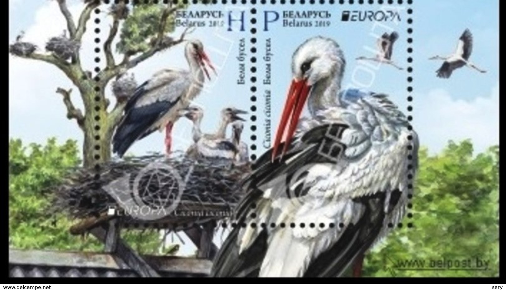 Belarus 2019 2 V  MNH Europa National Birds Bird Oiseaux Oiseau Stork Cigogne - 2019