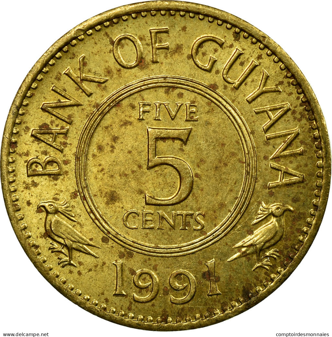 Monnaie, Guyana, 5 Cents, 1991, TB+, Nickel-brass, KM:32 - Guyana