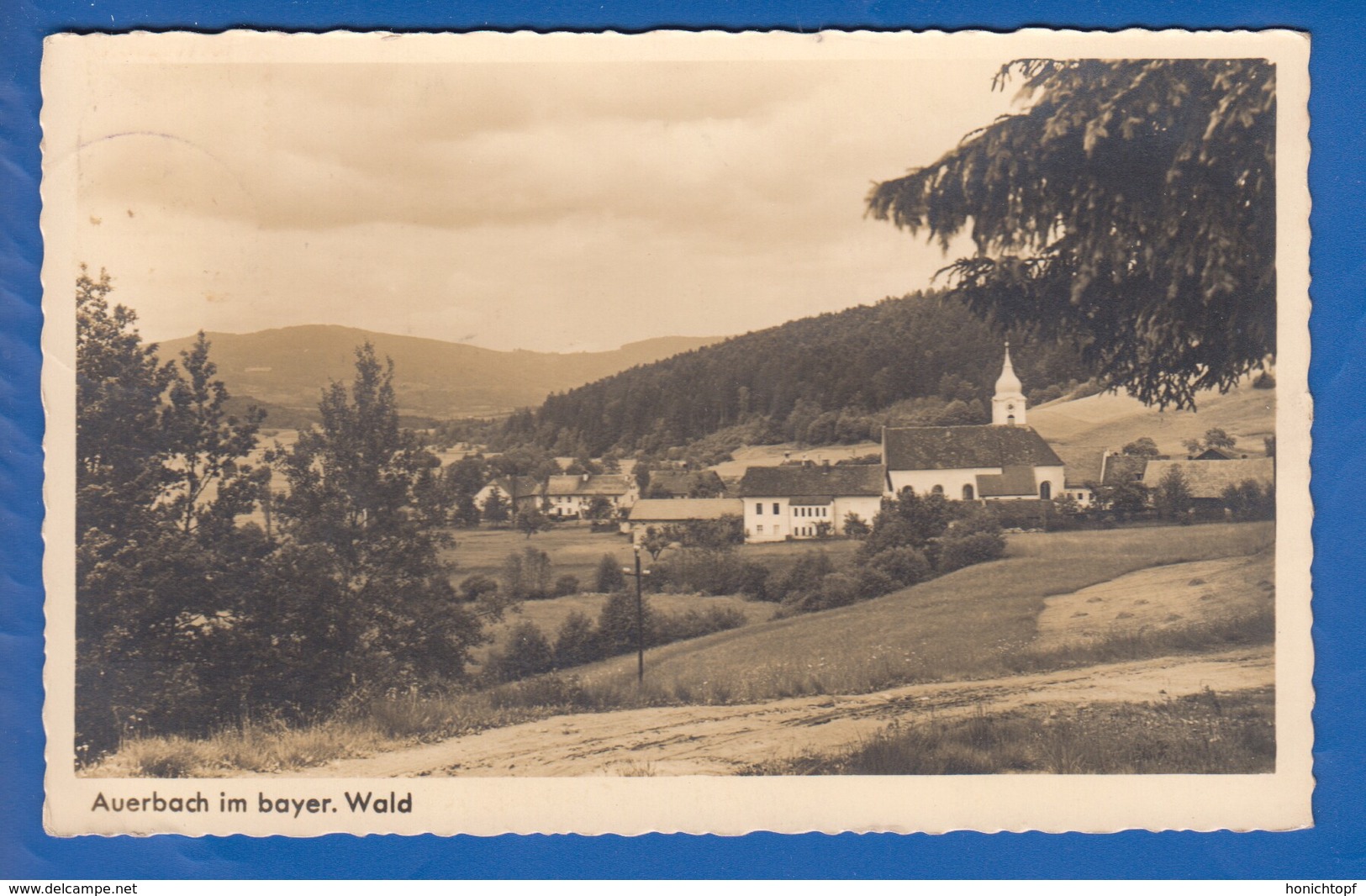 Deutschland; Auerbach Bayr. Wald; Panorama - Auerbach