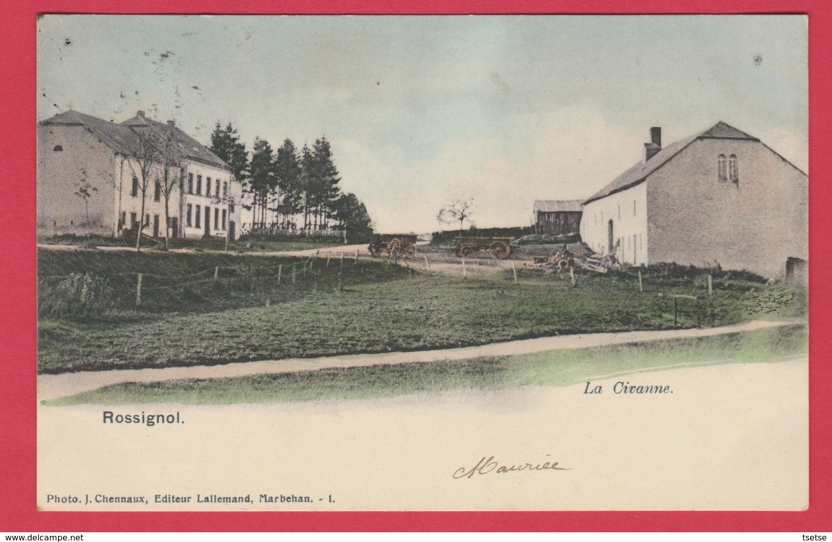 Rossignol - La Civanne ... Carte Colorisée - 1906 ( Voir Verso ) - Tintigny