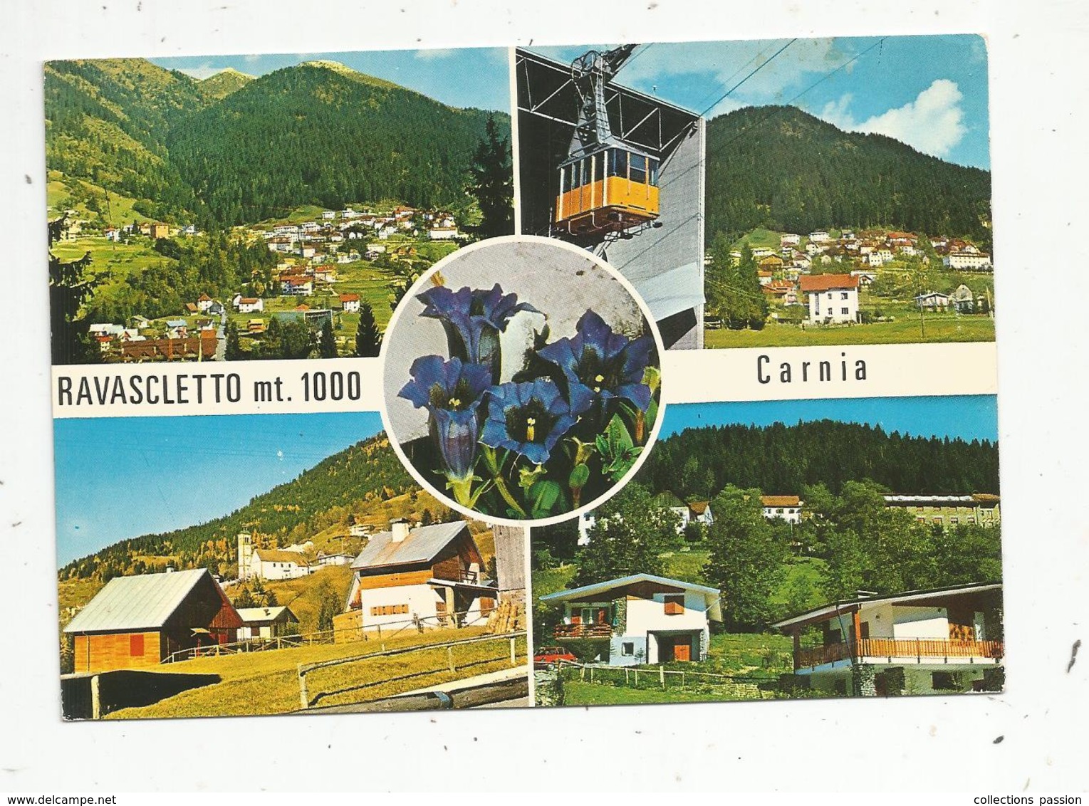 Cp , Italie , RAVASCLETTO ,  Camia , M. 1000 , Voyagée 1980, Multi Vues - Autres & Non Classés