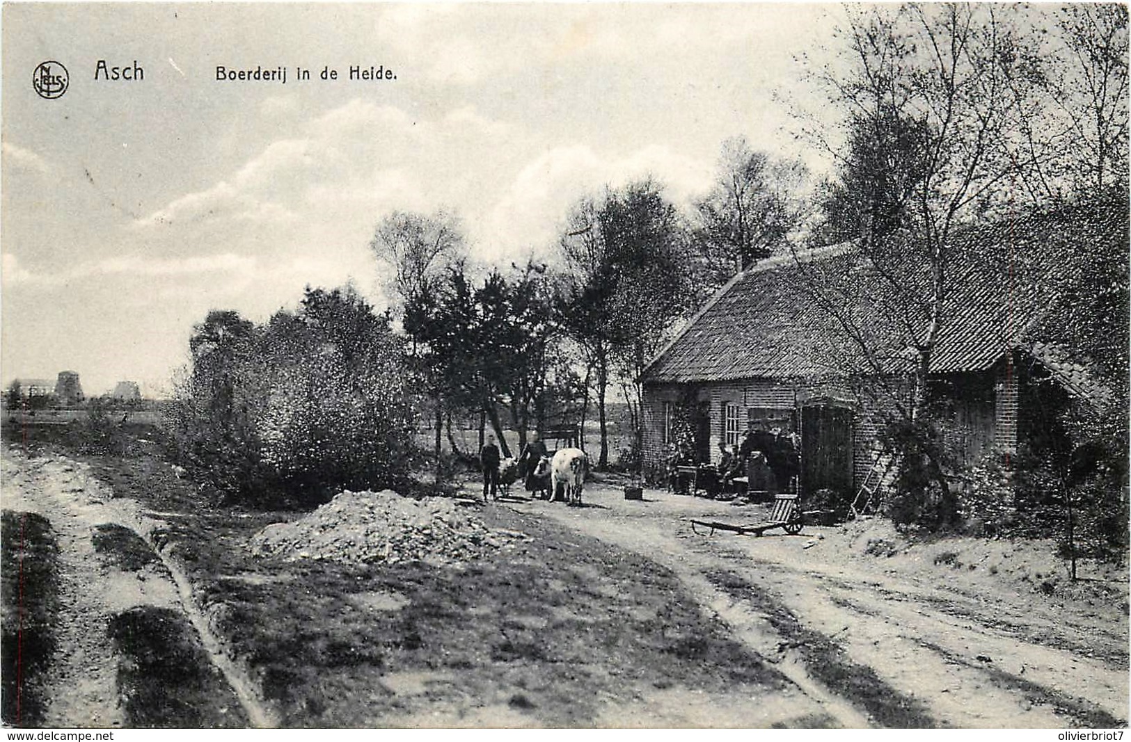 Belgique - As - Asch - Boerderij In De Heide - As