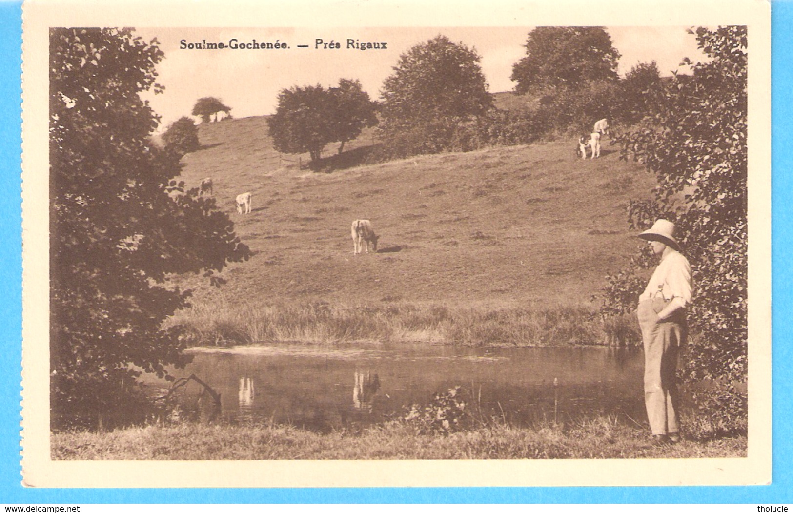 Soulme-Gochenée-Doische-1948-Prés Rigaux-Vaches-L'Amour Est Dans Le Pré-Timbre" Petit Sceau De L'Etat" COB 426-1935-1937 - Doische