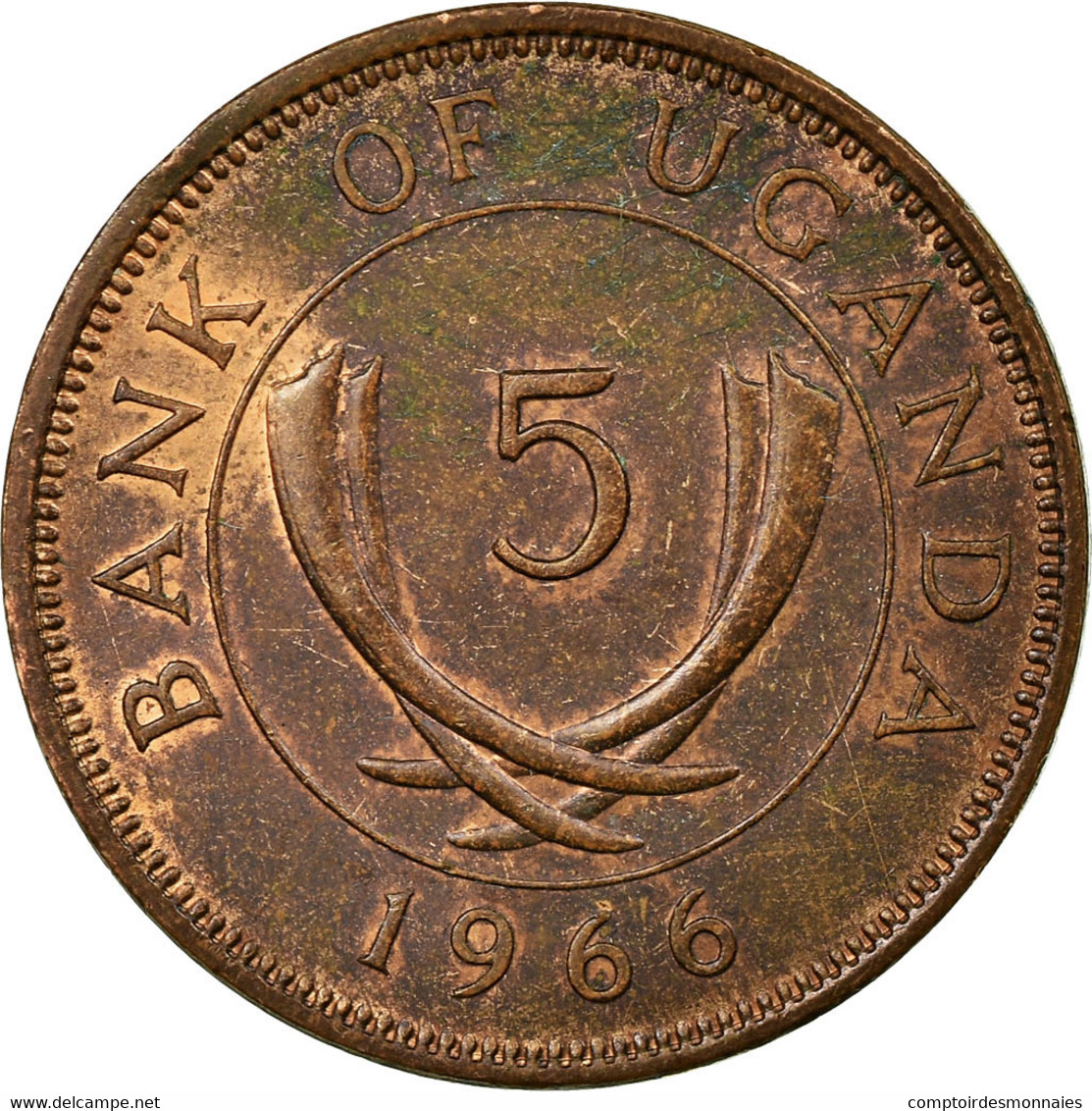 Monnaie, Uganda, 5 Cents, 1966, TB+, Bronze, KM:1 - Uganda