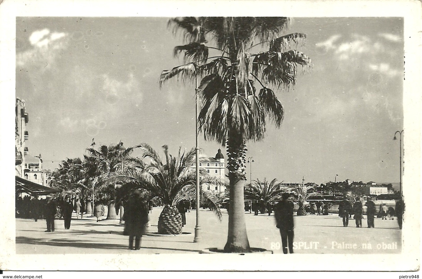 Split, Spalato (Croazia) Palme Na Obali, Lungomare Con Palme, Promenade Le Long De La Mer - Croatia