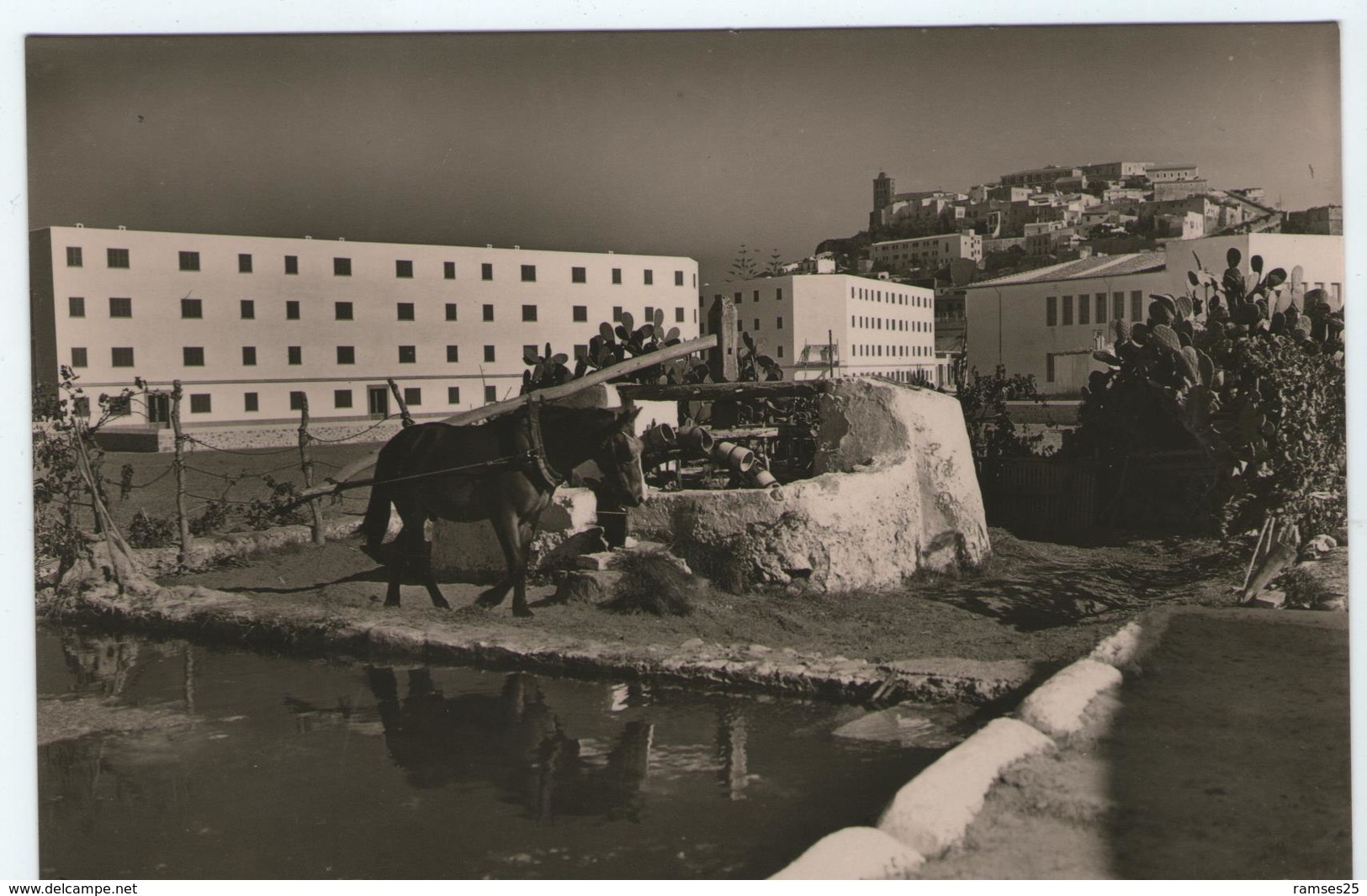 (100) CPA  Ibiza  Noria Tipica Viviendas Protegidas  (Bon Etat) - Ibiza