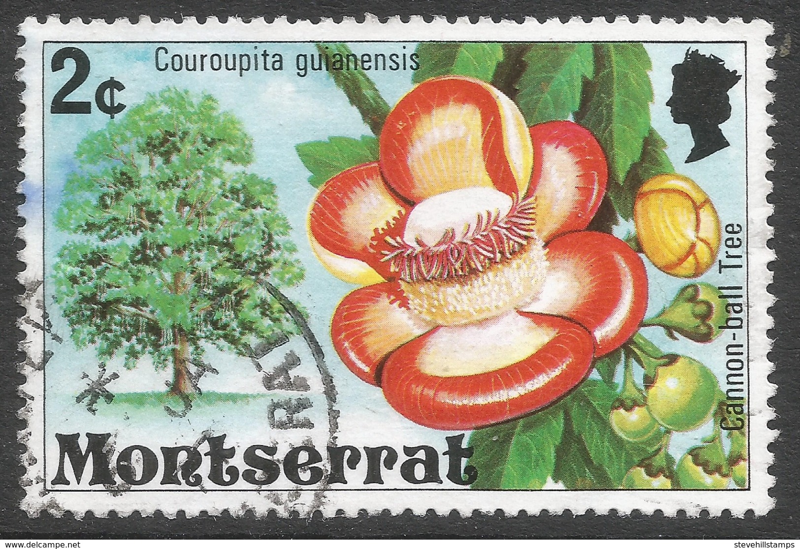 Montserrat. 1976 Flowering Trees. 2c Used. SG 372 - Montserrat