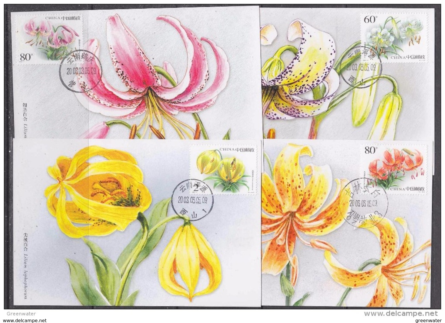 China P.R. 2002 Lillies 4v 4 Maxicards (42505) - Maximum Cards