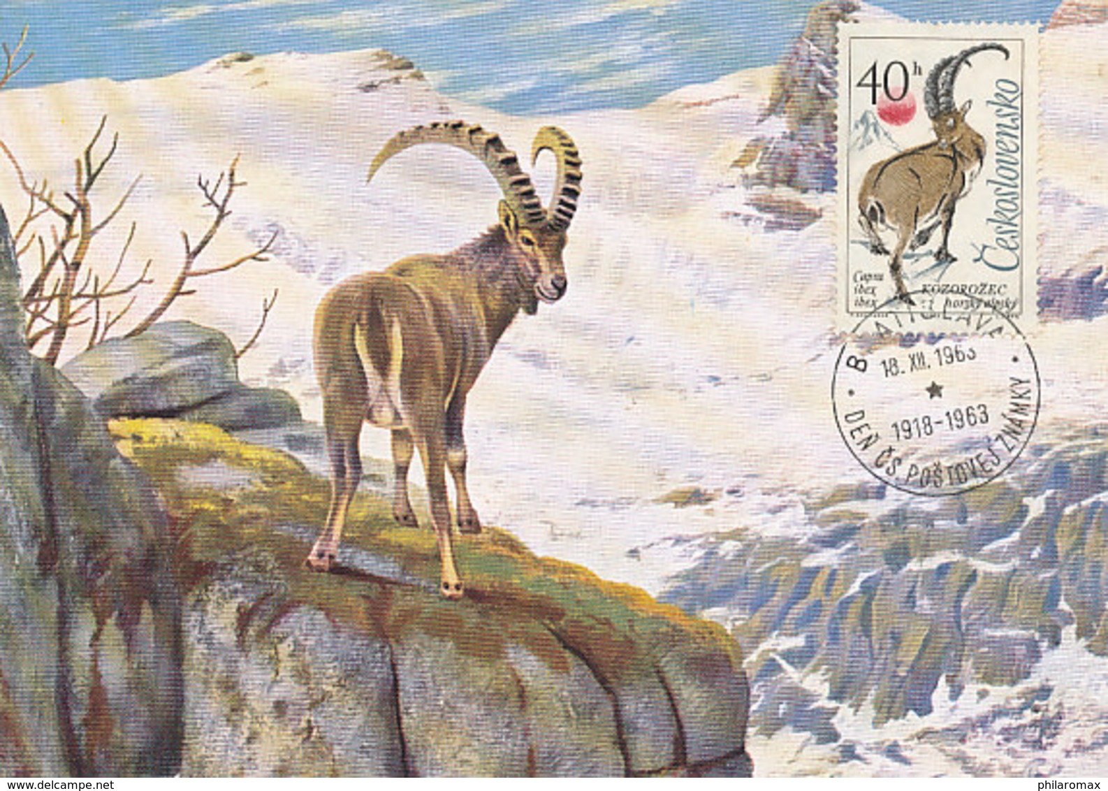 D36839 CARTE MAXIMUM CARD 1963 CZECHOSLOVAKIA - CAPRA IBEX ALPINE STEINBOCK CP ORIGINAL - Gibier