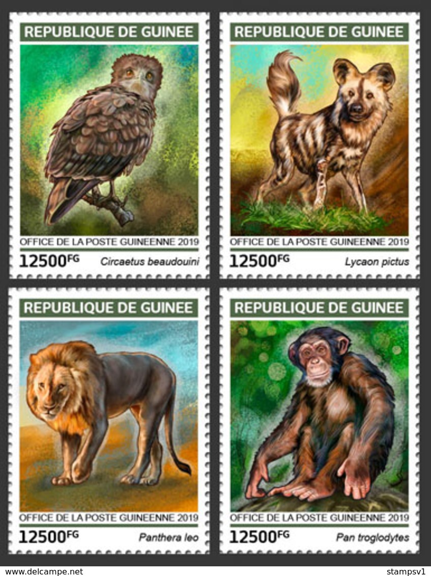 Guinea. 2019 Endangered Species. (0107a)  OFFICIAL ISSUE - Hiboux & Chouettes