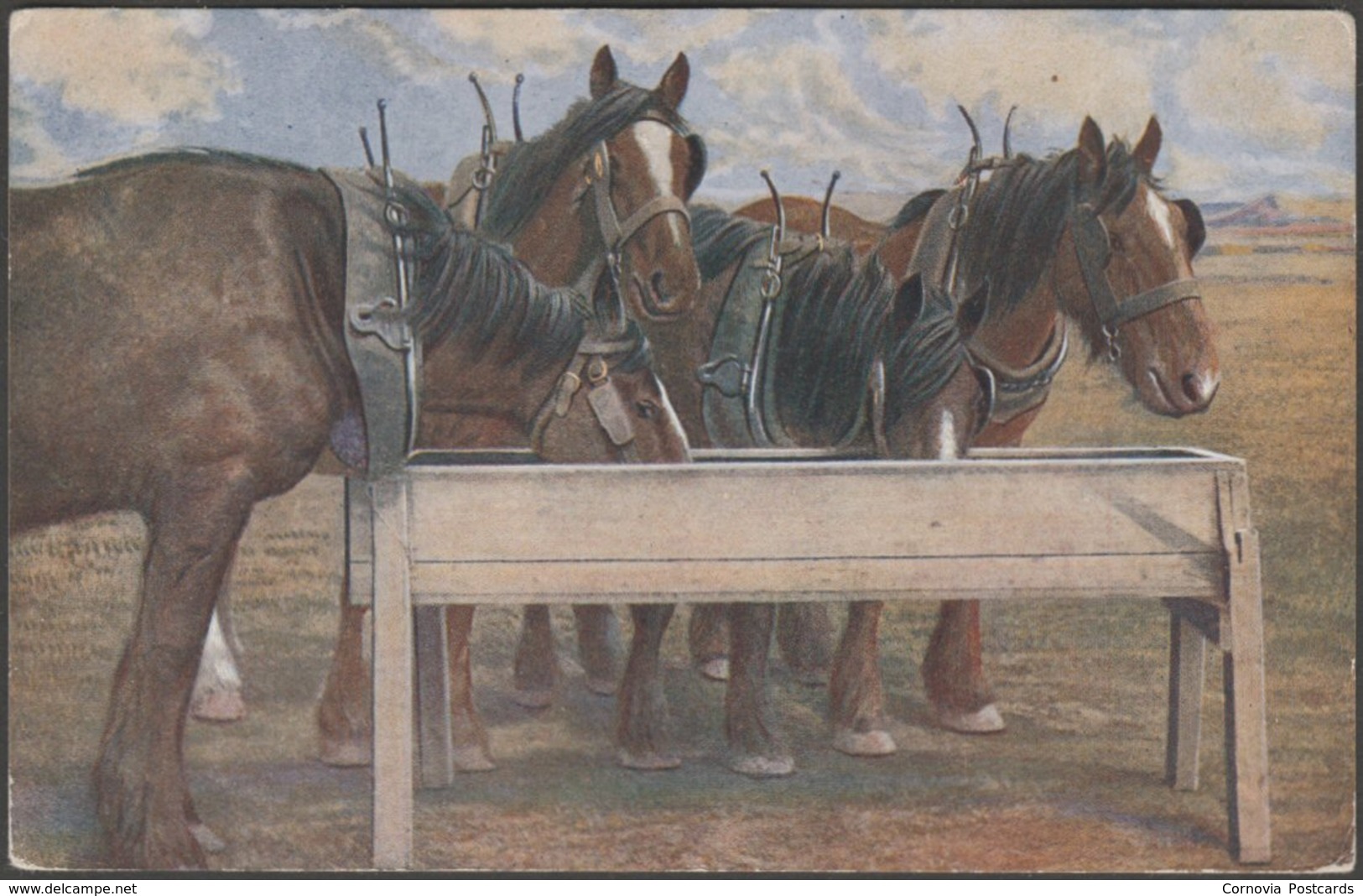 Dray Horses At The Trough, C.1920 - James Henderson Postcard - Cavalli