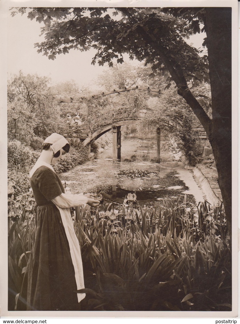 In Gardens Of The Days Of Good Queen Bess  Botánica Botany Botanique Botanik  Fonds Victor FORBIN (1864-1947) - Other & Unclassified