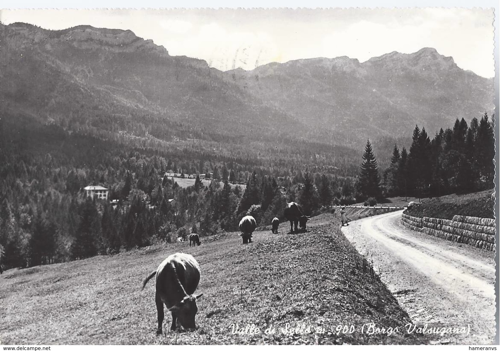 Valle Di Sella - Borgo Valsugana - Trento - H5206 - Trento