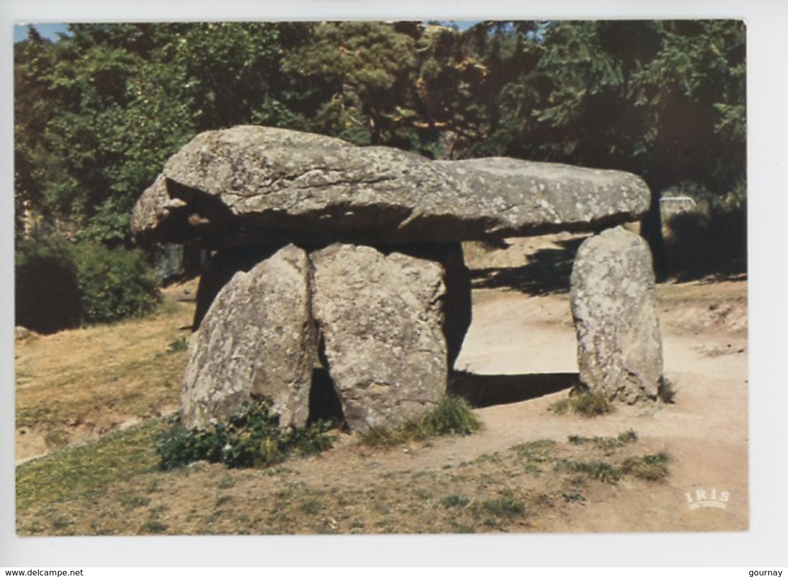 Saint Nectaire (Puy De Dôme) Le Dolmen (cp Vierge N°28) - Dolmen & Menhirs