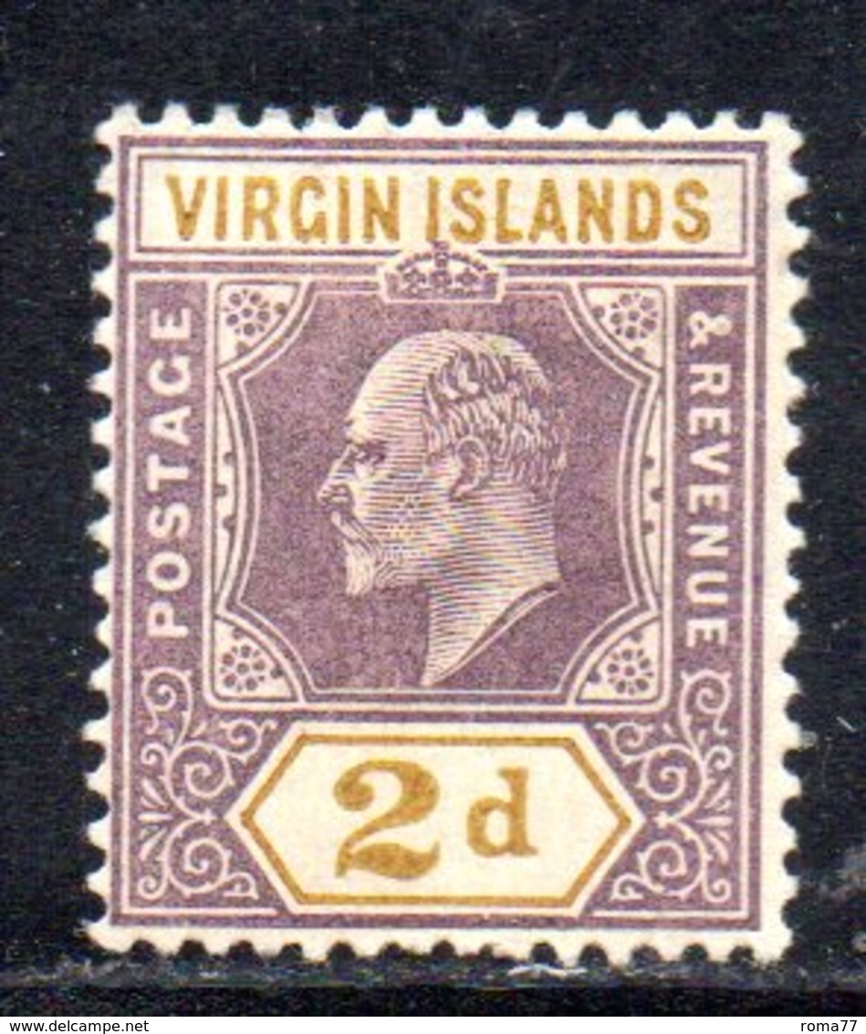 APR694 - BRITISH VIRGIN ISLANDS  1904 , Yvert N. 30 * Linguella  (2380A) . - British Virgin Islands