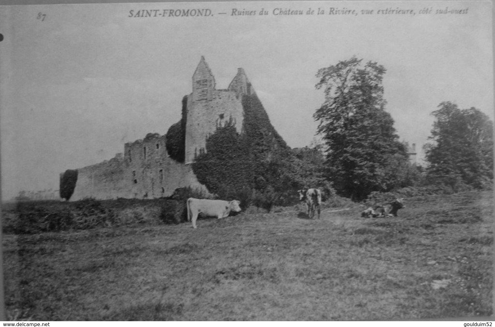Saint Fromond : Ruines Du Chateau De La Rivière, Vue Extérieure, Coté Sud Ouest - Autres & Non Classés