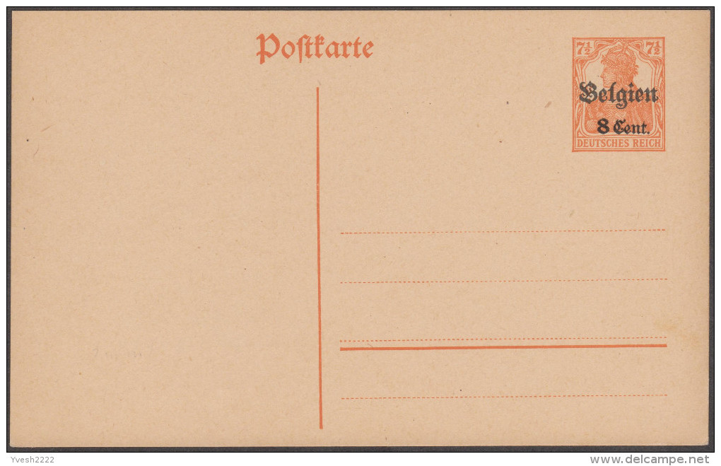 Belgique 1917. Carte Provisoire Avec Double Surcharge (n° 14). Surcharges Très éloignées - Occupation Allemande