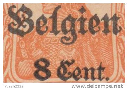 Belgique 1917. Carte Provisoire Avec Double Surcharge (n° 14). Surcharges Très éloignées - Deutsche Besatzung