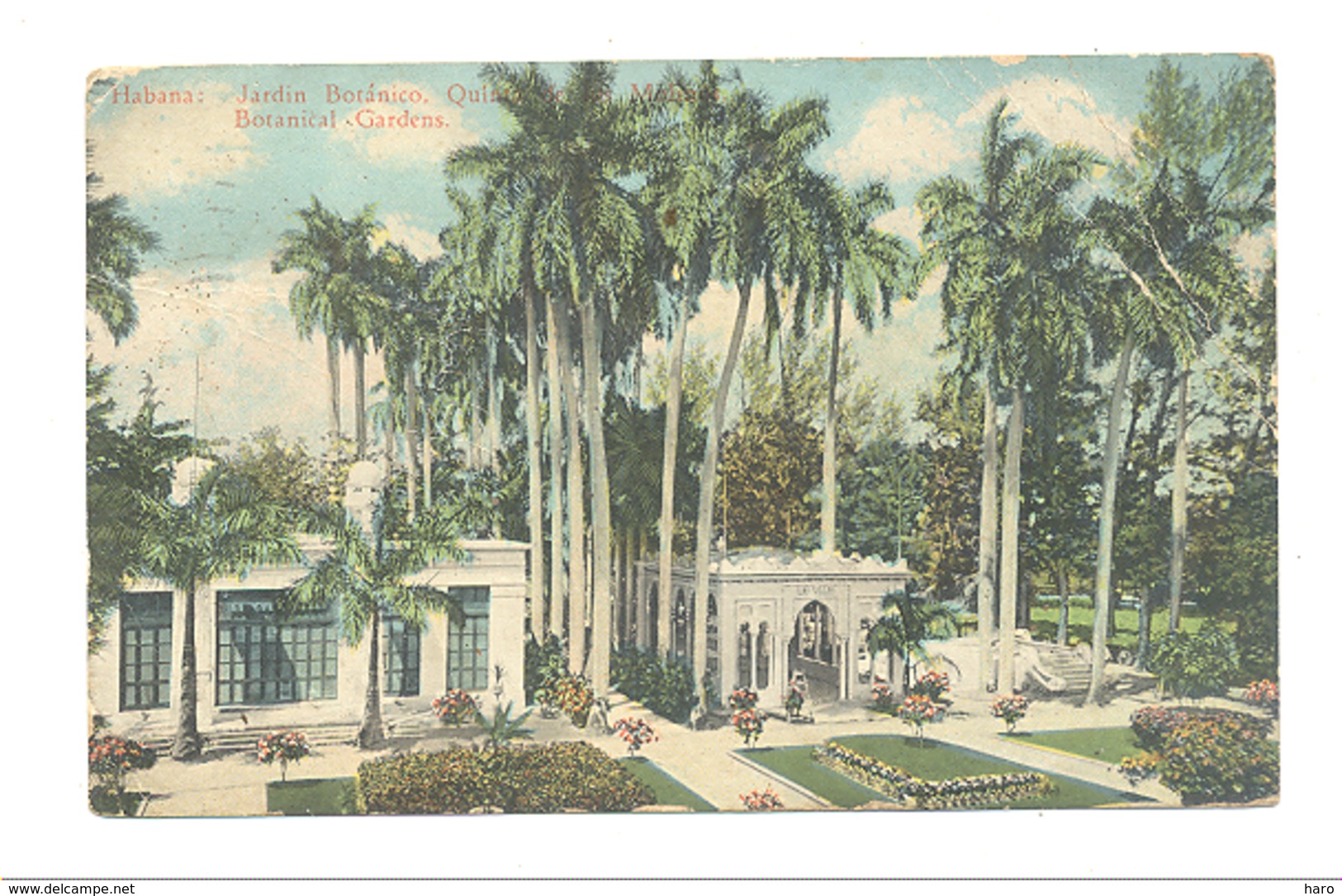 CUBA - Habana ( La Havane ) Jardin Botanico - Botanicals Gardens - Carte Colorisée  - 1924(fr75) - Autres & Non Classés