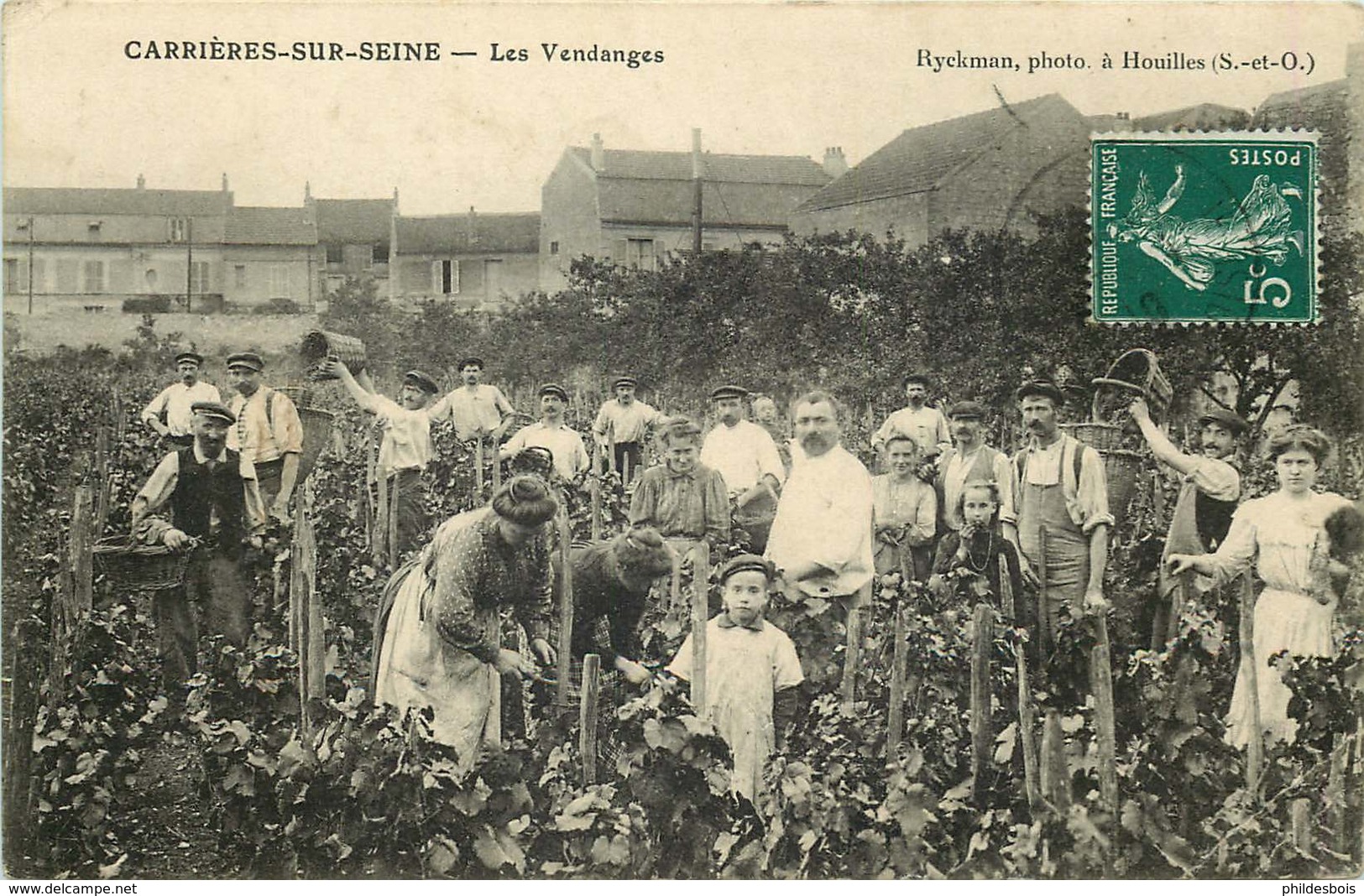 YVELINES  CARRIERES SUR SEINE  Les Vendanges - Carrières-sur-Seine