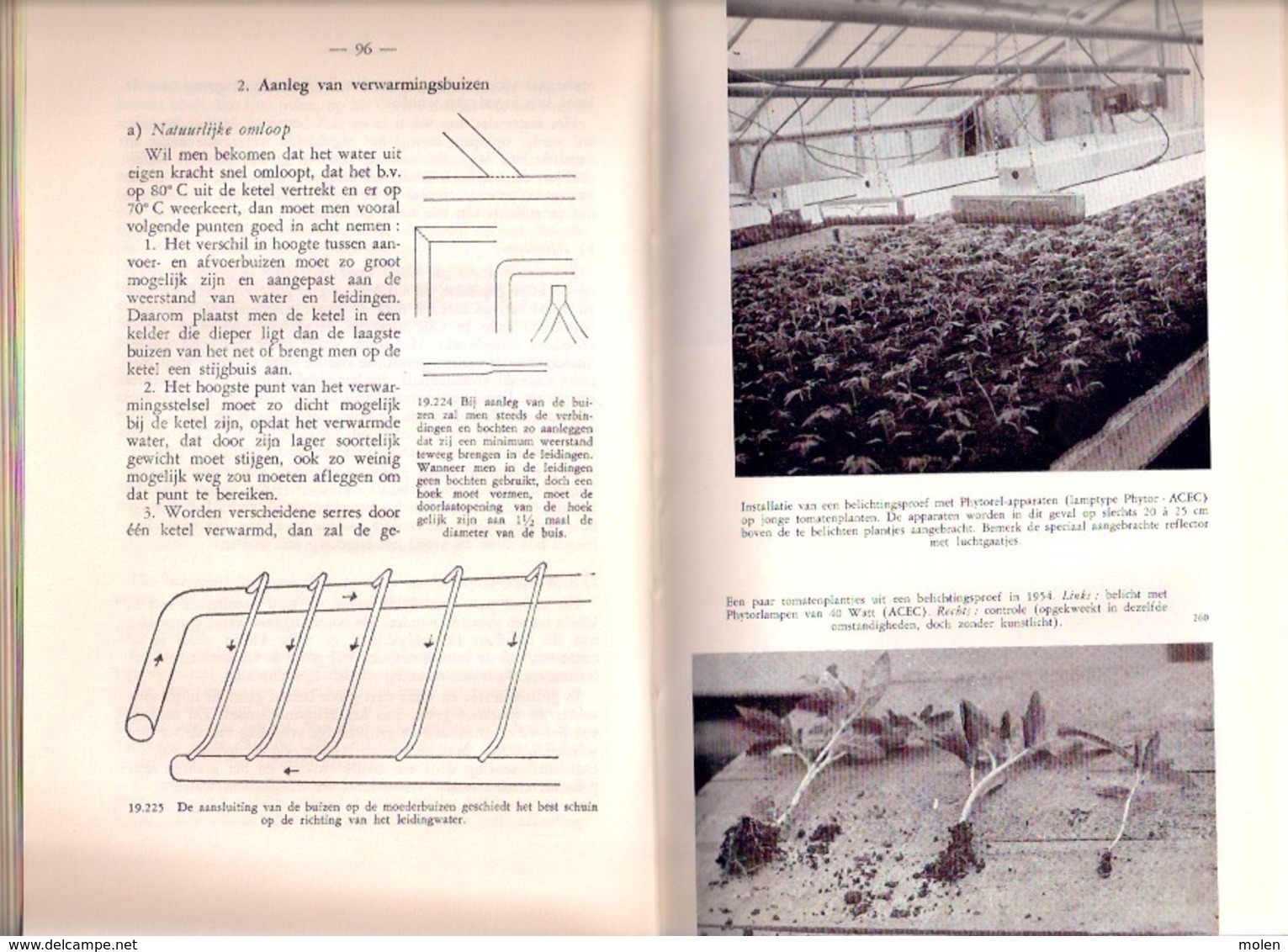 GROENTETEELT ONDER GLAS 307pp ©1962 BOERENBOND tuinbouw landbouw teelt boer landbouwer tuin tuinder agricultuur Z773