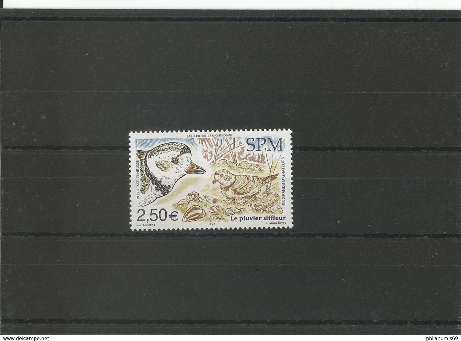 ST PIERRE ET MIQUELON 2005 - YT PA 85 NEUF SANS CHARNIERE ** (MNH) GOMME D'ORIGINE LUXE - Neufs