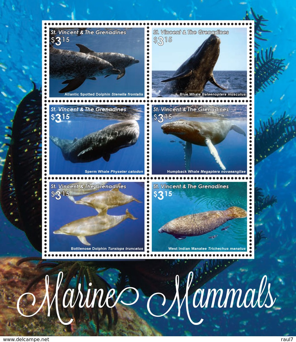 St Vincent 2016 - Mammifères Marins, Baleines, Dauphins - BF 6 Val Neufs // Mnh - St.Vincent & Grenadines