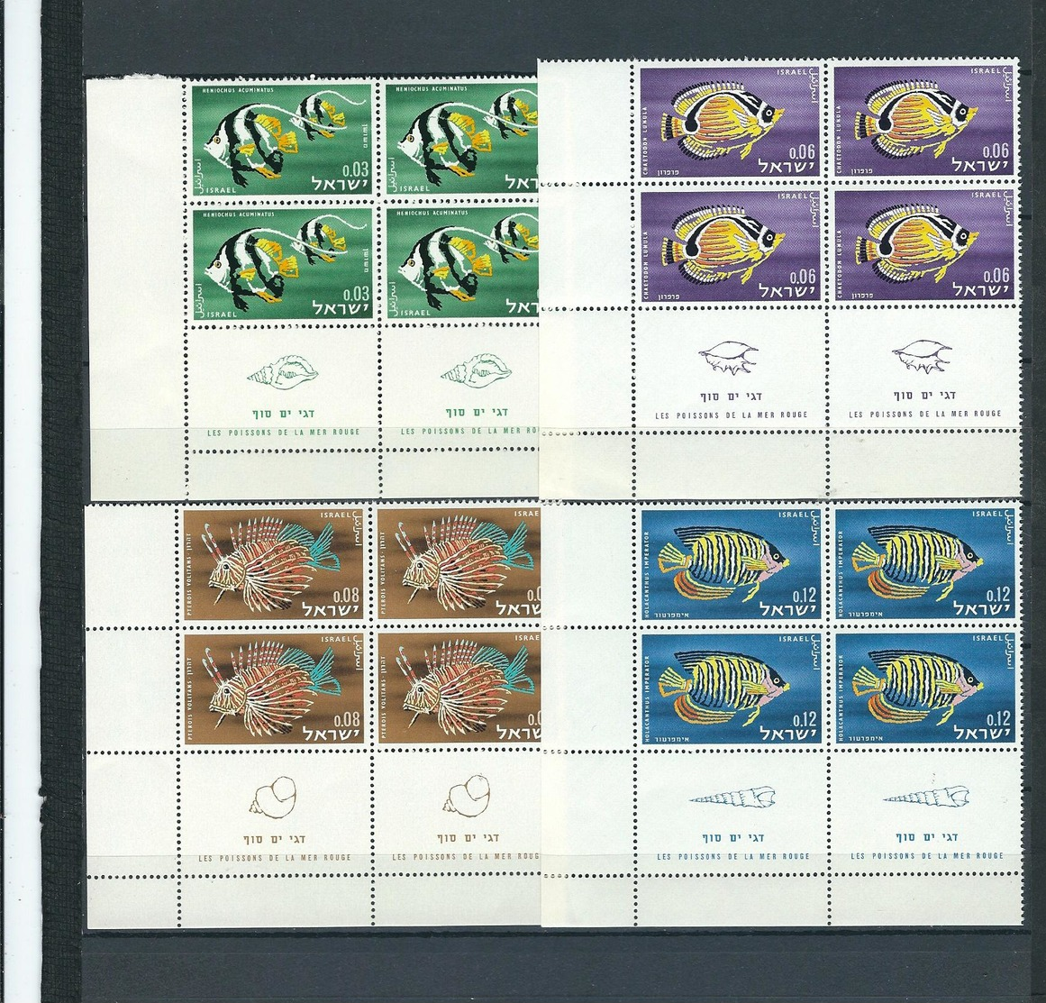 ISRAEL 1962 FISH OF THE RED SEA - MNH WITH TABS - (BLOCK OF FOUR) (FISHES) - Nuevos (con Tab)