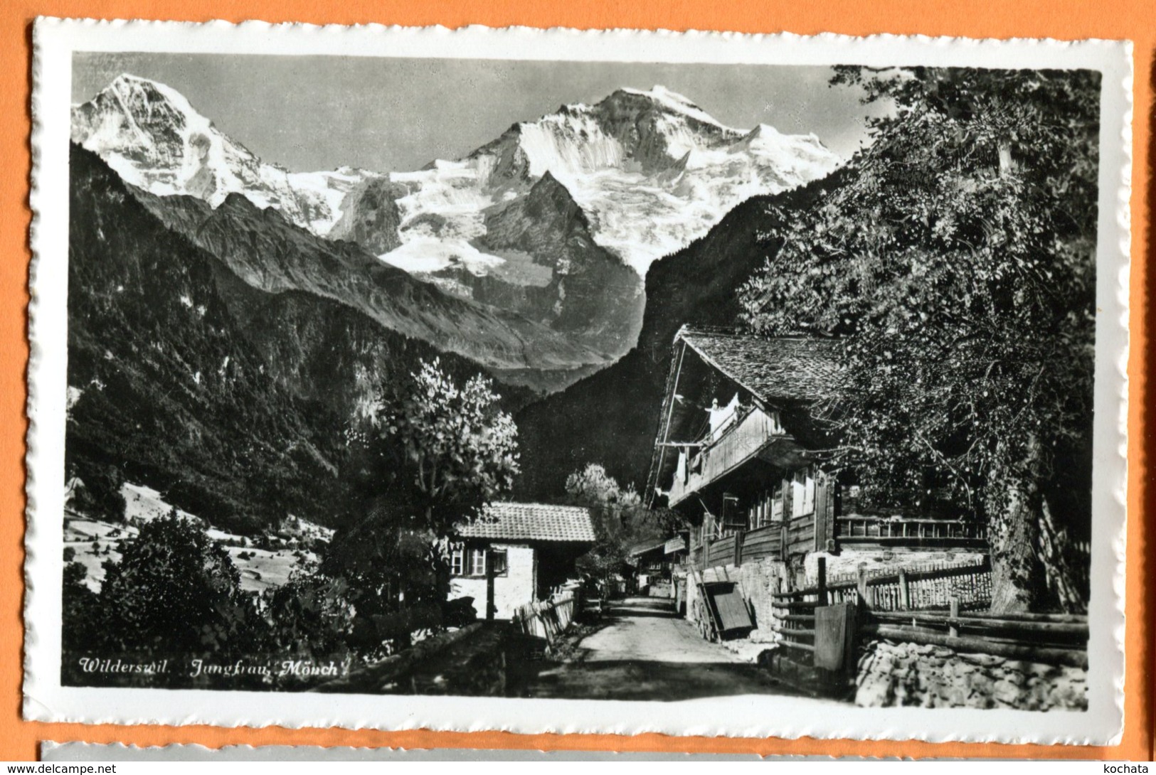 SPR093, Wilderswil, Jungfrau, Mönch, 1276, édit. Schild, Non Circulée - Wilderswil