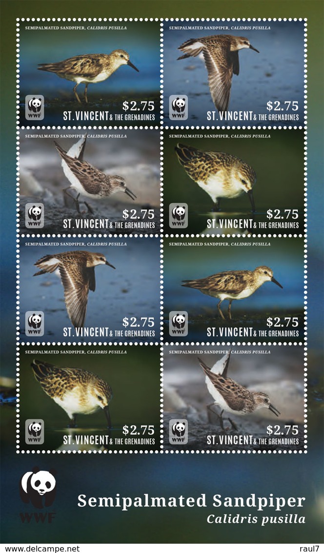 St Vincent 2014 - Faune En Danger, Oiseaux, Wwf - Feuillet Neuf // Mnh - St.Vincent & Grenadines