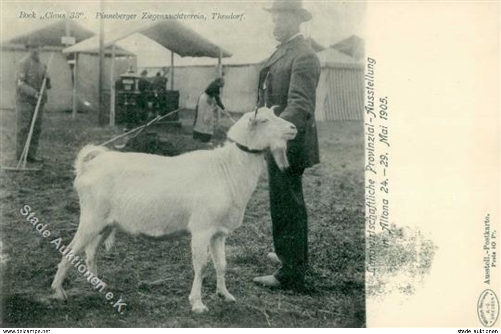 Landwirtschaft Bock Claus 33, Pinneberger Ziegenzuchtverein 1905 I-II Paysans - Exposiciones