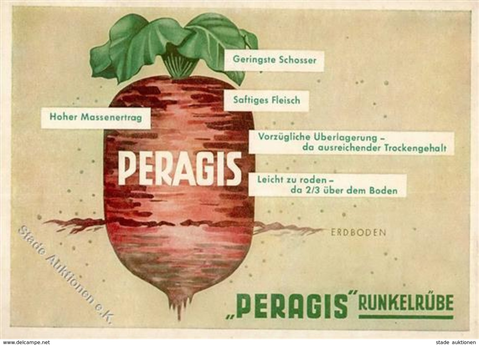 Landwirtschaft Einbeck (3352) Peragis Runkelrübe Werbe AK I-II Paysans - Ausstellungen