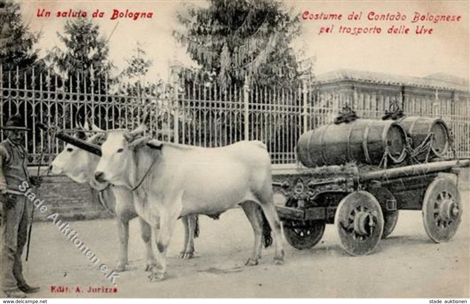 Wein Bologna (40100) Italien Weintransport I-II Vigne - Ausstellungen