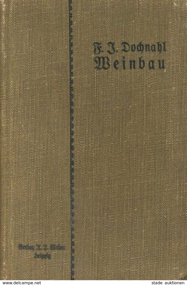 Wein Buch Katechismus Des Weinbaues Der Rebkultur Und Der Weinbereitung Dochnahl, F. J. 1896 Verlag J. J. Weber 231 Seit - Ausstellungen