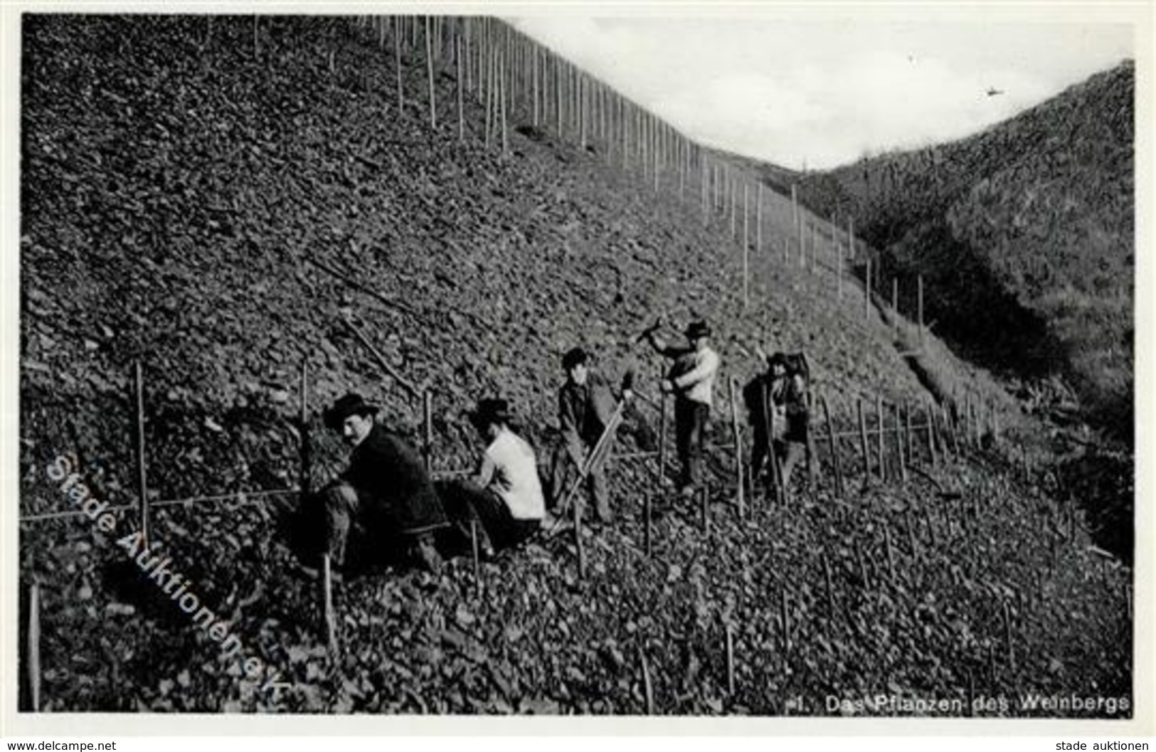 Wein Das Pflanzen Im Weinberg I-II Vigne - Ausstellungen